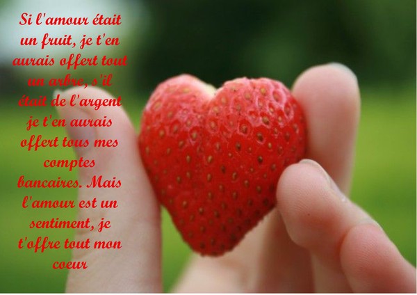 Citation N 14 Le Fruit De L Amour